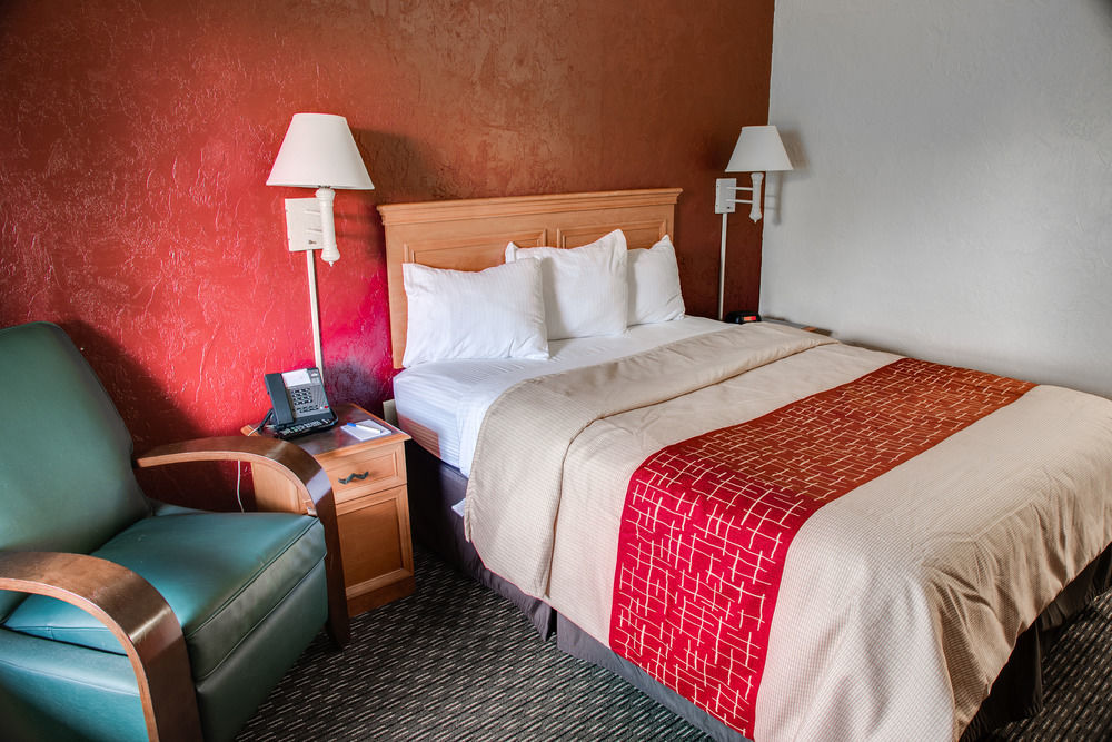 Red Roof Inn Tampa Bay - St. Petersburg Kültér fotó
