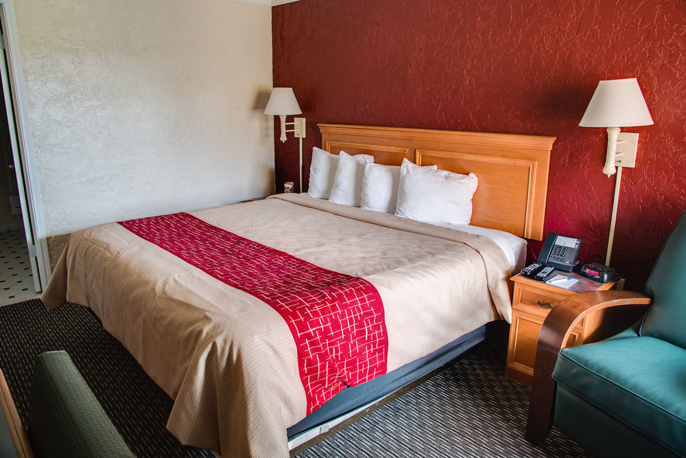 Red Roof Inn Tampa Bay - St. Petersburg Kültér fotó